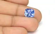 Blue Sapphire - 5.79 Carats